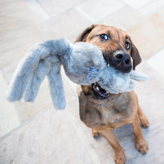 KONG Wubba Friends – Interactive Plush Squeaky Dog Toy