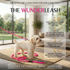 WUNDERleash – Original No-Pull Dog Leash for Comfortable Walking & Training