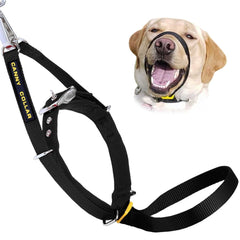 Canny Collar – Gentle Headcollar for Comfortable Dog Walking & Training