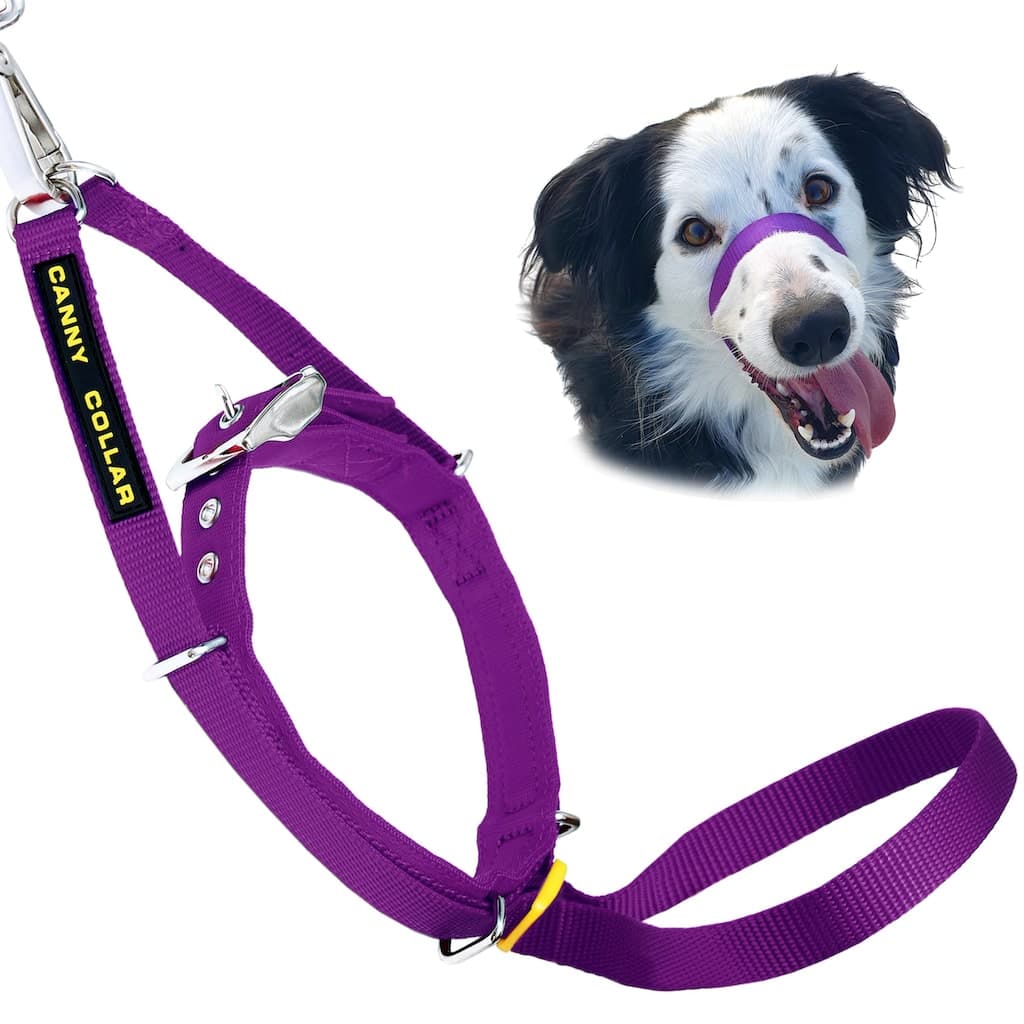 Canny Collar – Gentle Headcollar for Comfortable Dog Walking & Training