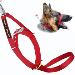 Canny Collar – Gentle Headcollar for Comfortable Dog Walking & Training