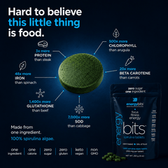 ENERGYbits® Spirulina – Nutrient-Dense Spirulina Algae, Large Bag