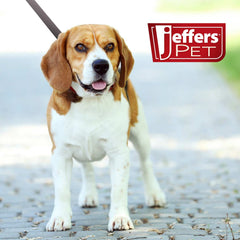 Jeffers 6-Foot Flat Leather Dog Leash