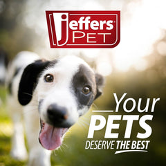 Jeffers 6-Foot Flat Leather Dog Leash