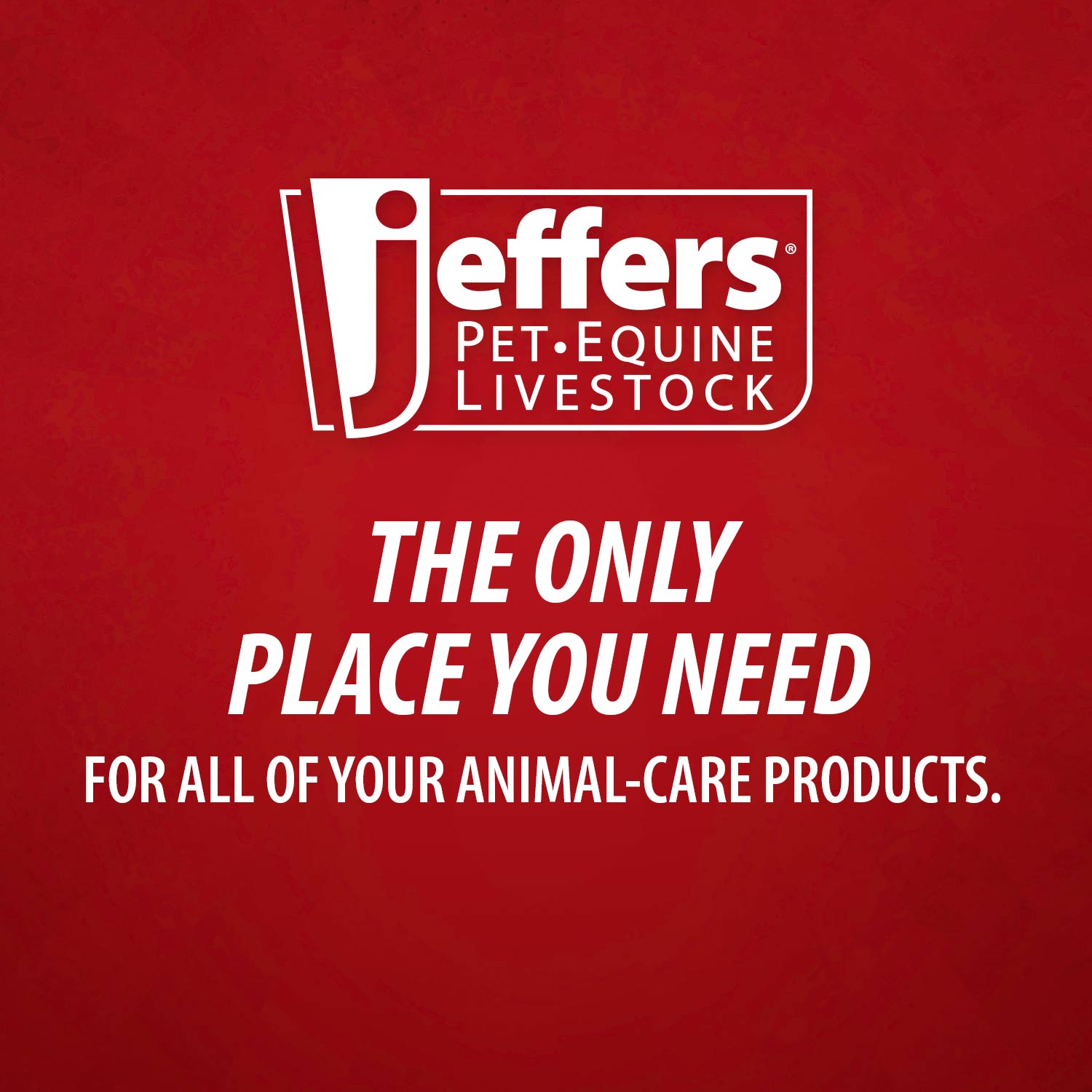 Jeffers GROOMIT Rubber Grooming Glove