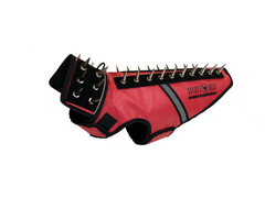 SpikeVest – Protective Dog Vest for Training & Outdoor Activities