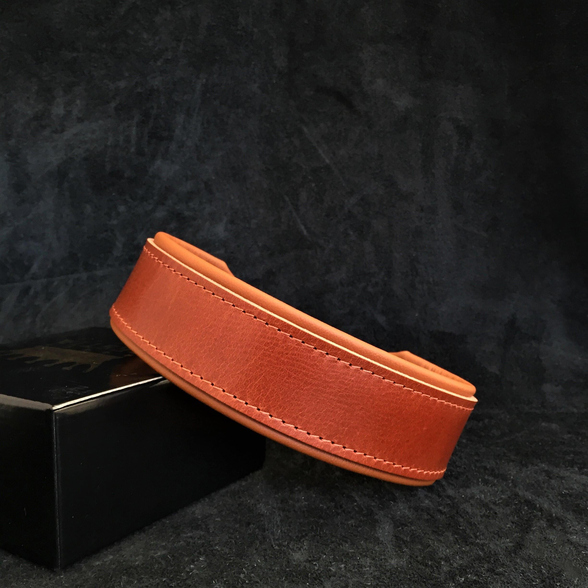 Stylish 2-Inch Wide Dog Collar