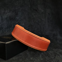 Stylish 2-Inch Wide Dog Collar